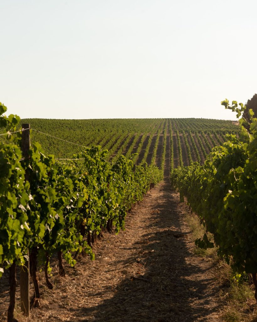 Domaine Principi di Butera